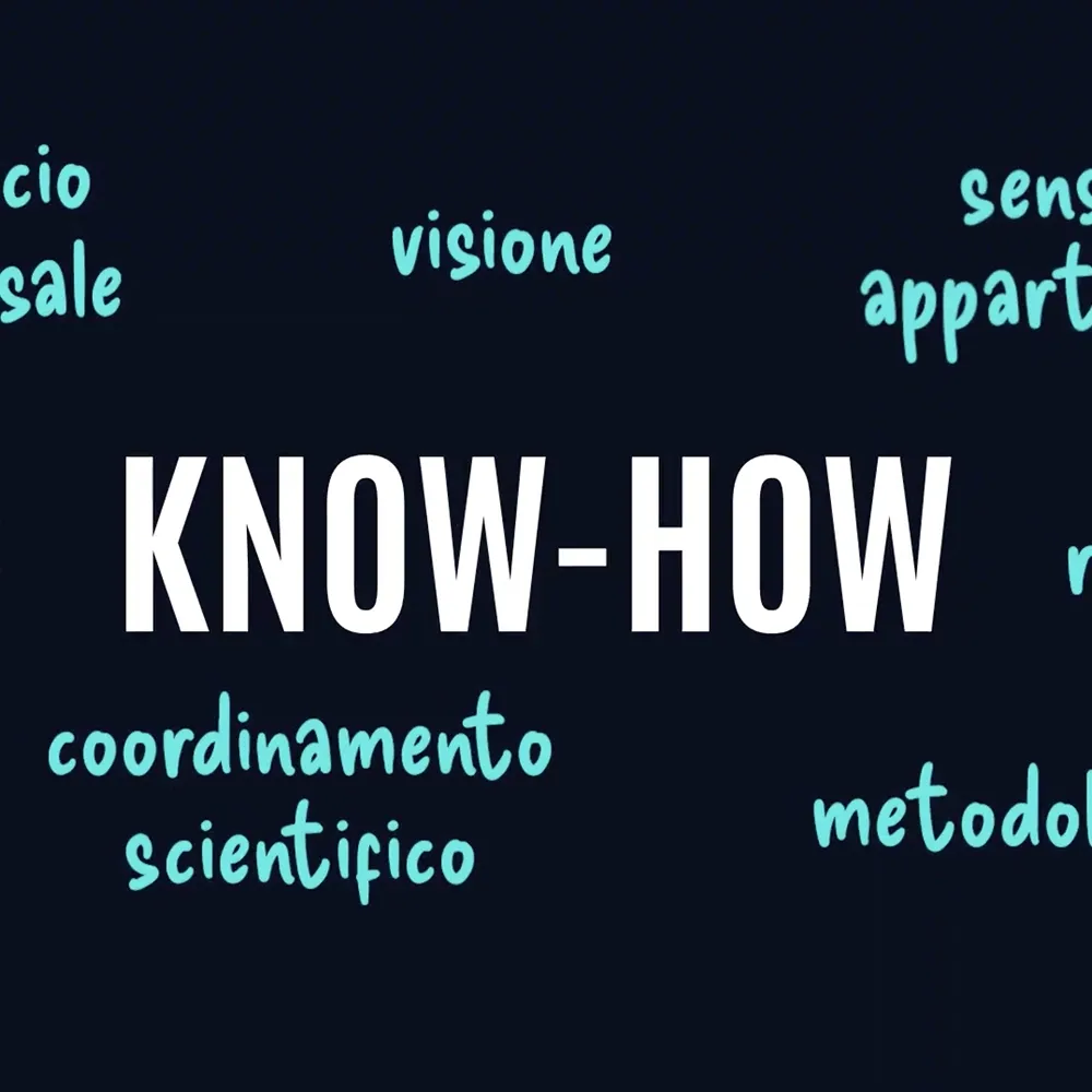 Video Building Bridges Doc Congress