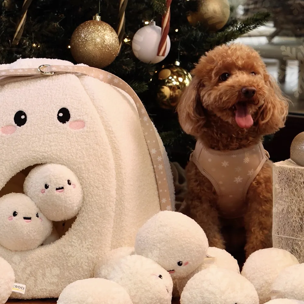 Video Christmas Croci Group