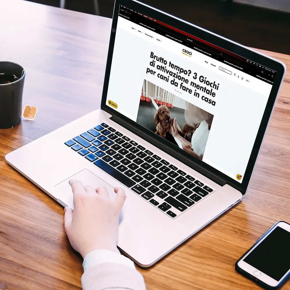 Content Creation Blog Croci Group