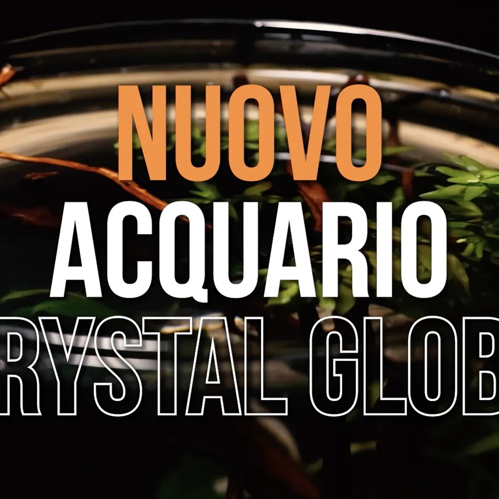 Video Crystal Globe Croci Group Amtra